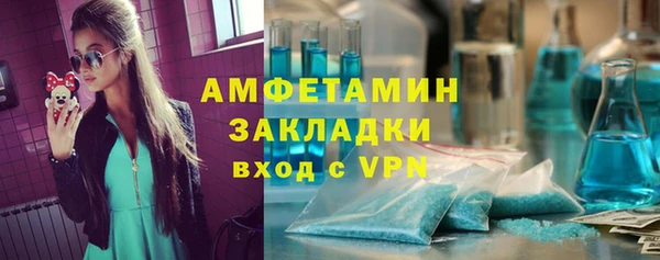 твердый Краснослободск
