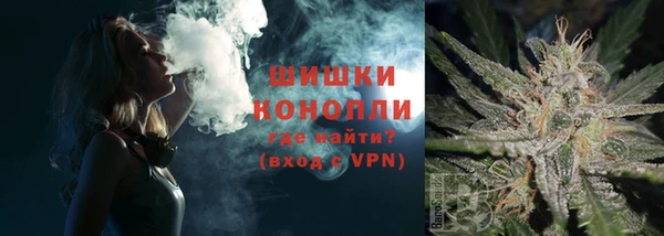 твердый Краснослободск