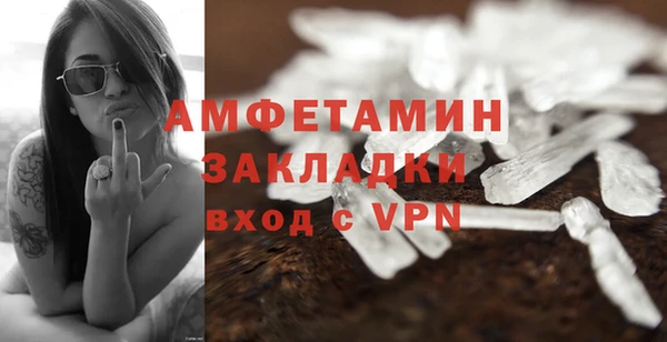 твердый Краснослободск