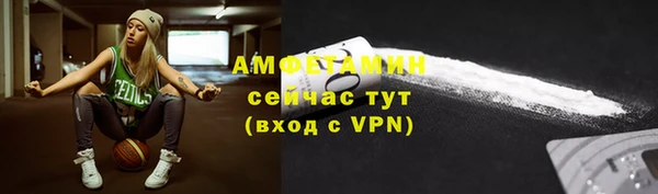 твердый Краснослободск