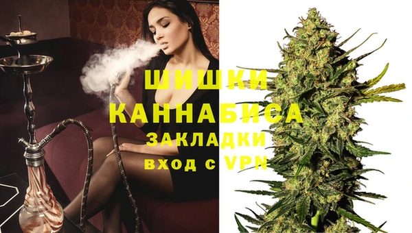 ГАЛЛЮЦИНОГЕННЫЕ ГРИБЫ Краснотурьинск