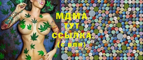 твердый Краснослободск