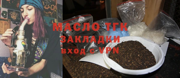 твердый Краснослободск