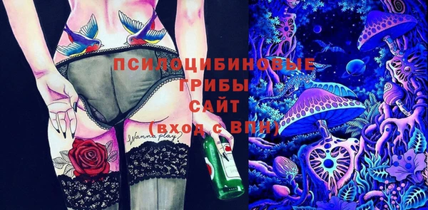 твердый Краснослободск