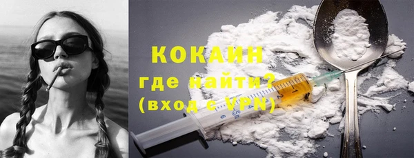 твердый Краснослободск